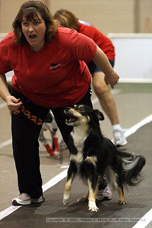 Dawg Derby Flyball Tournement<br />July 12<br />Classic Center<br />Athens, Ga