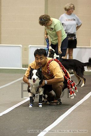 Dawg Derby Flyball Tournement<br />July 12<br />Classic Center<br />Athens, Ga