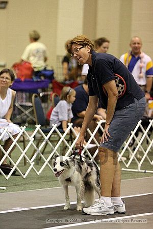 Dawg Derby Flyball Tournement<br />July 12<br />Classic Center<br />Athens, Ga