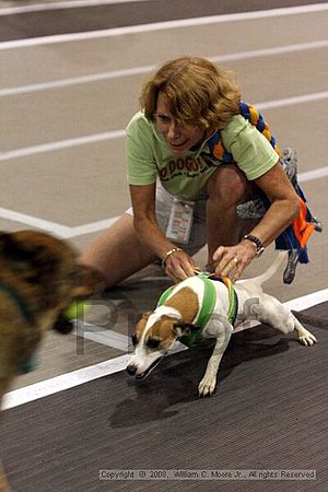 Dawg Derby Flyball Tournement<br />July 12<br />Classic Center<br />Athens, Ga