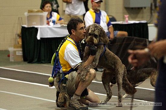Dawg Derby Flyball Tournement<br />July 12<br />Classic Center<br />Athens, Ga