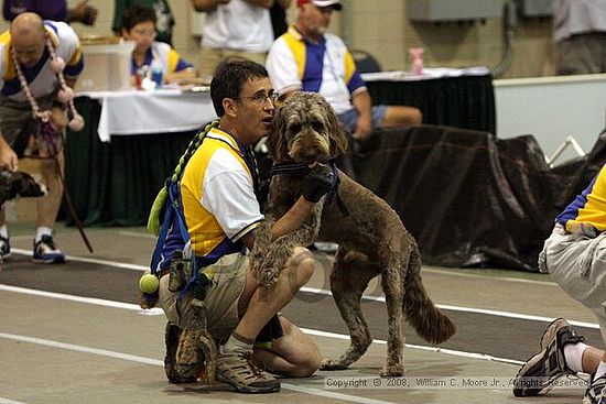 Dawg Derby Flyball Tournement<br />July 12<br />Classic Center<br />Athens, Ga