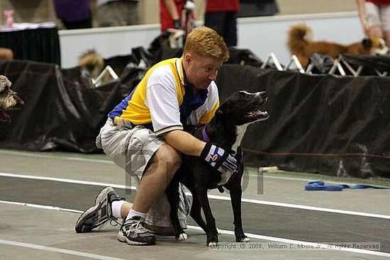 Dawg Derby Flyball Tournement<br />July 12<br />Classic Center<br />Athens, Ga