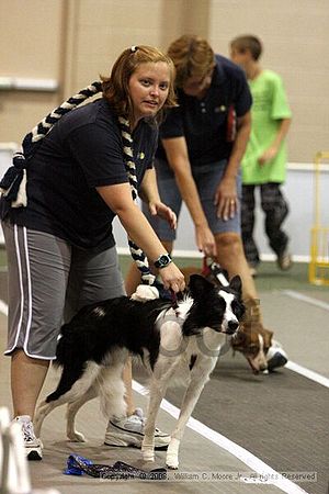 Dawg Derby Flyball Tournement<br />July 12<br />Classic Center<br />Athens, Ga