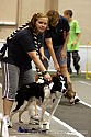 img_5150_thm.jpg