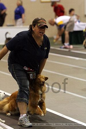 Dawg Derby Flyball Tournement<br />July 12<br />Classic Center<br />Athens, Ga