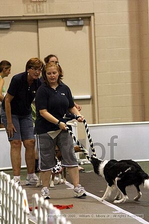 Dawg Derby Flyball Tournement<br />July 12<br />Classic Center<br />Athens, Ga