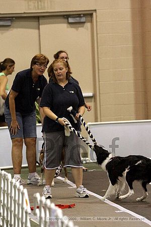 Dawg Derby Flyball Tournement<br />July 12<br />Classic Center<br />Athens, Ga