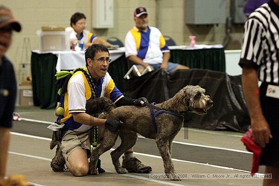 Dawg Derby Flyball Tournement<br />July 12<br />Classic Center<br />Athens, Ga