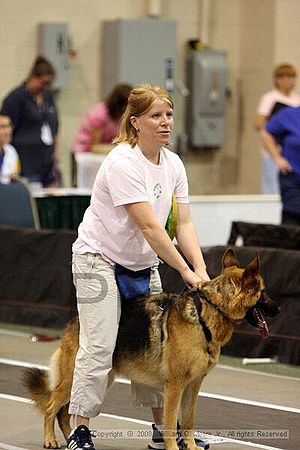 Dawg Derby Flyball Tournement<br />July 12<br />Classic Center<br />Athens, Ga