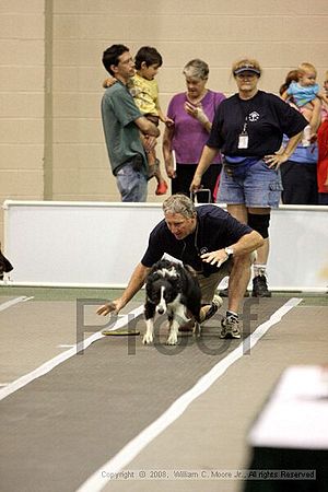 Dawg Derby Flyball Tournement<br />July 12<br />Classic Center<br />Athens, Ga