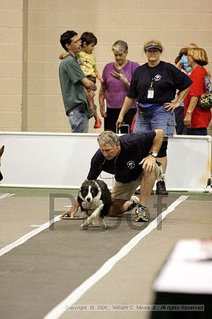 Dawg Derby Flyball Tournement<br />July 12<br />Classic Center<br />Athens, Ga