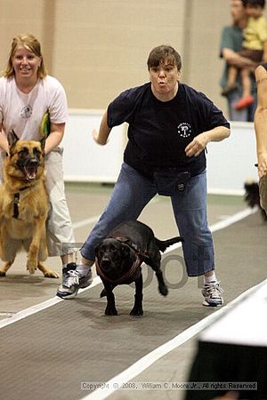 Dawg Derby Flyball Tournement<br />July 12<br />Classic Center<br />Athens, Ga