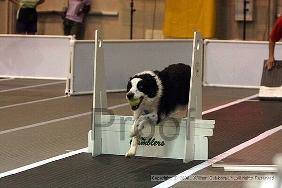 Dawg Derby Flyball Tournement<br />July 12<br />Classic Center<br />Athens, Ga