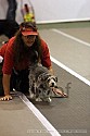 img_4446_thm.jpg