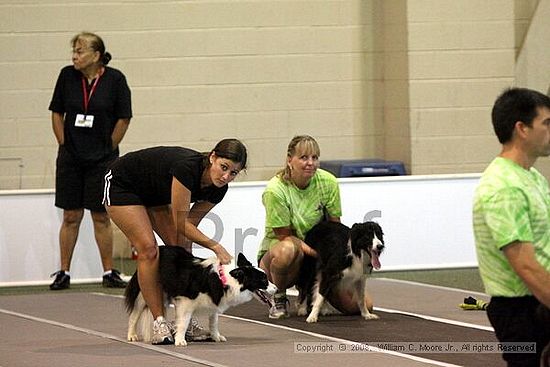 Dawg Derby Flyball Tournement<br />July 12<br />Classic Center<br />Athens, Ga