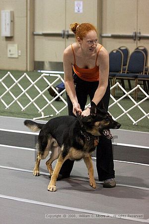 Dawg Derby Flyball Tournement<br />July 12<br />Classic Center<br />Athens, Ga