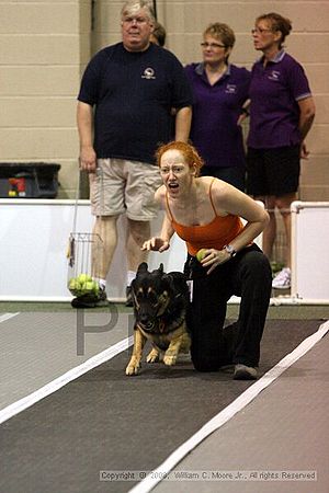 Dawg Derby Flyball Tournement<br />July 12<br />Classic Center<br />Athens, Ga