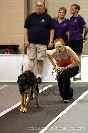 Dawg Derby Flyball Tournement<br />July 12<br />Classic Center<br />Athens, Ga