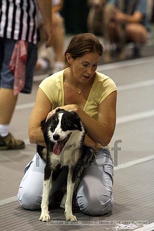 Dawg Derby Flyball Tournement<br />July 12<br />Classic Center<br />Athens, Ga