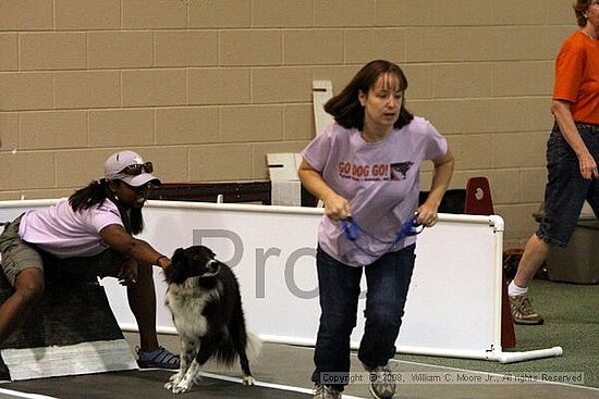Dawg Derby Flyball Tournement<br />July 12<br />Classic Center<br />Athens, Ga