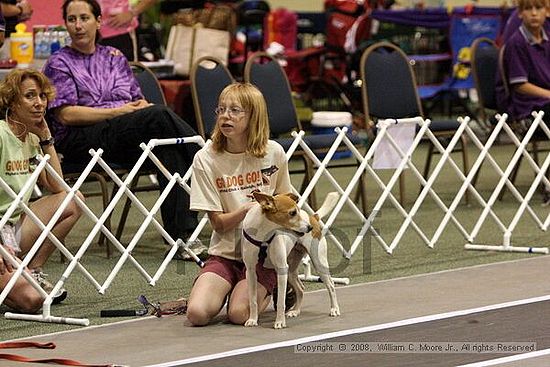 Dawg Derby Flyball Tournement<br />July 12<br />Classic Center<br />Athens, Ga