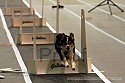 img_4509_thm.jpg