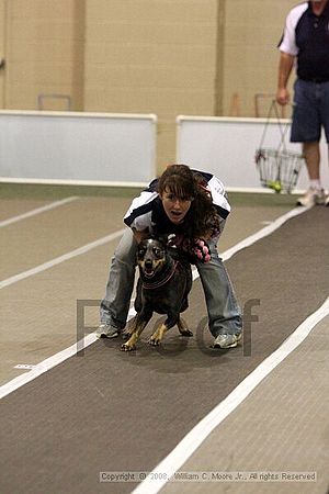 Dawg Derby Flyball Tournement<br />July 12<br />Classic Center<br />Athens, Ga