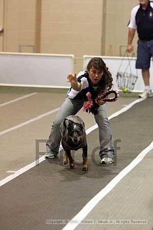 Dawg Derby Flyball Tournement<br />July 12<br />Classic Center<br />Athens, Ga