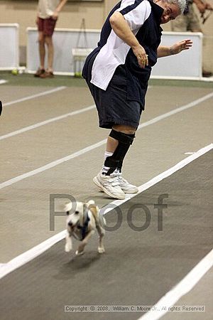 Dawg Derby Flyball Tournement<br />July 12<br />Classic Center<br />Athens, Ga