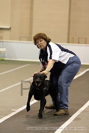 Dawg Derby Flyball Tournement<br />July 12<br />Classic Center<br />Athens, Ga