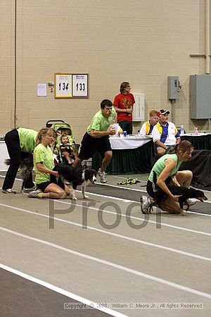 Dawg Derby Flyball Tournement<br />July 12<br />Classic Center<br />Athens, Ga