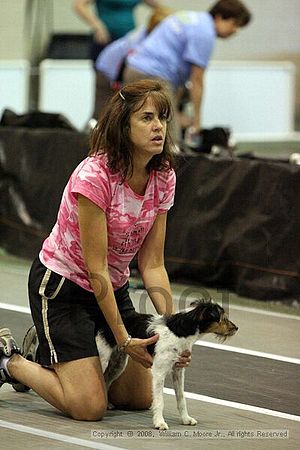 Dawg Derby Flyball Tournement<br />July 12<br />Classic Center<br />Athens, Ga