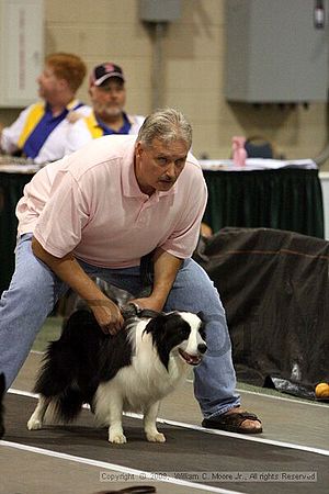 Dawg Derby Flyball Tournement<br />July 12<br />Classic Center<br />Athens, Ga