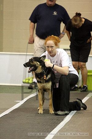 Dawg Derby Flyball Tournement<br />July 12<br />Classic Center<br />Athens, Ga