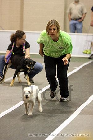 Dawg Derby Flyball Tournement<br />July 12<br />Classic Center<br />Athens, Ga