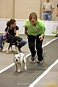 img_5233_thm.jpg