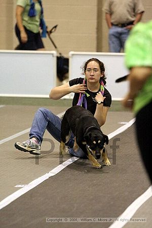 Dawg Derby Flyball Tournement<br />July 12<br />Classic Center<br />Athens, Ga