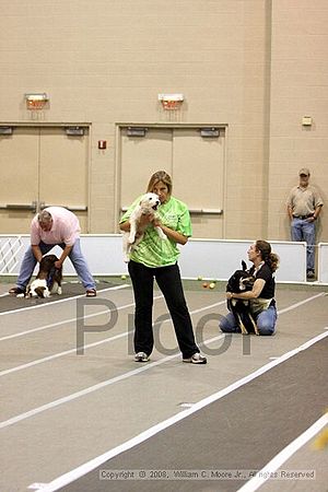 Dawg Derby Flyball Tournement<br />July 12<br />Classic Center<br />Athens, Ga