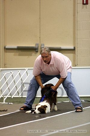 Dawg Derby Flyball Tournement<br />July 12<br />Classic Center<br />Athens, Ga