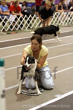 Dawg Derby Flyball Tournement<br />July 12<br />Classic Center<br />Athens, Ga