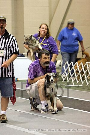 Dawg Derby Flyball Tournement<br />July 12<br />Classic Center<br />Athens, Ga
