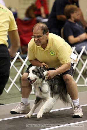 Dawg Derby Flyball Tournement<br />July 12<br />Classic Center<br />Athens, Ga