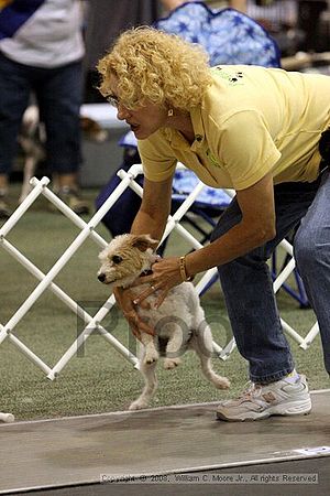 Dawg Derby Flyball Tournement<br />July 12<br />Classic Center<br />Athens, Ga