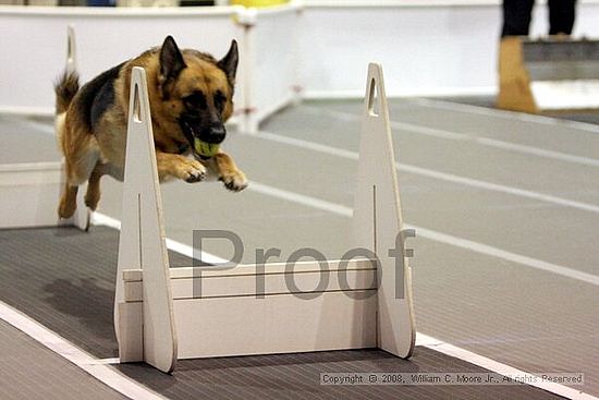 Dawg Derby Flyball Tournement<br />July 12<br />Classic Center<br />Athens, Ga