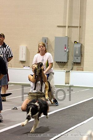 Dawg Derby Flyball Tournement<br />July 12<br />Classic Center<br />Athens, Ga