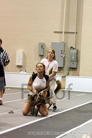 Dawg Derby Flyball Tournement<br />July 12<br />Classic Center<br />Athens, Ga