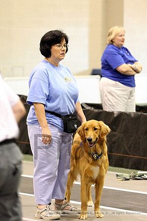 Dawg Derby Flyball Tournement<br />July 12<br />Classic Center<br />Athens, Ga