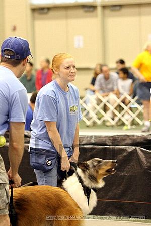 Dawg Derby Flyball Tournement<br />July 12<br />Classic Center<br />Athens, Ga