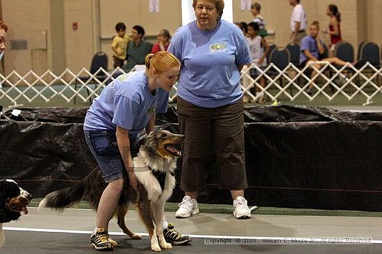 Dawg Derby Flyball Tournement<br />July 12<br />Classic Center<br />Athens, Ga